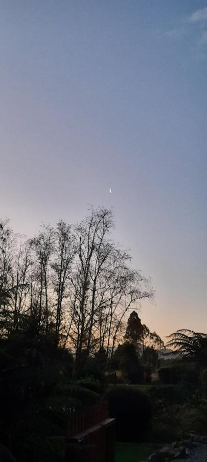Lake Brunner Country Motel & Holiday Park Moana ภายนอก รูปภาพ